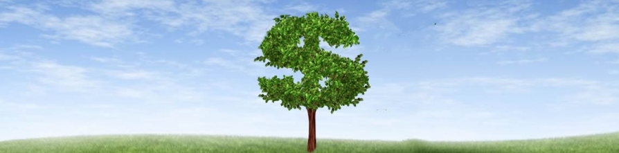 seo-ecommerce-money-tree